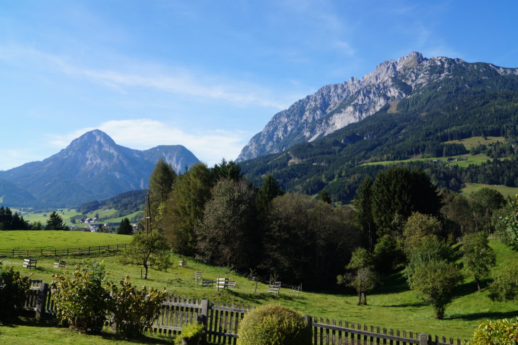 Stoderzinken (li.) und Kamm (re.)